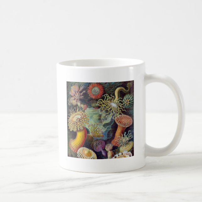 Havets anemonart kaffemugg (Höger)