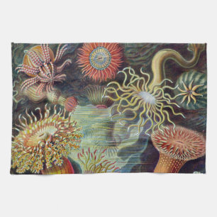 Havets anemonart kökshandduk