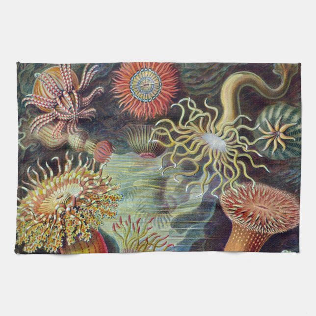 Havets anemonart kökshandduk (Horisontell)
