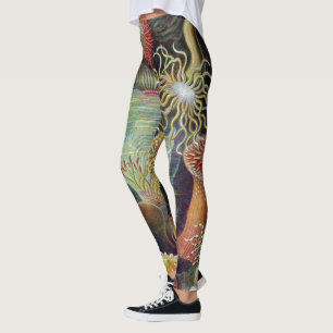 Havets anemonart leggings