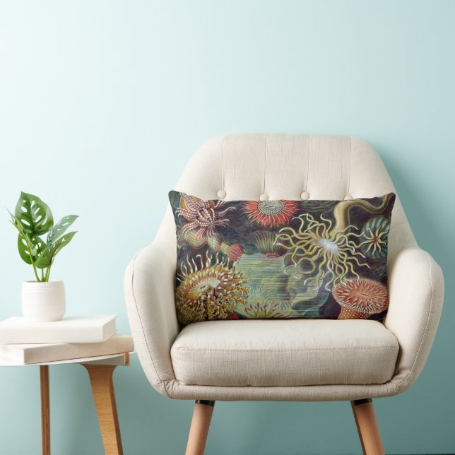 Havets anemonart lumbarkudde (Stol)