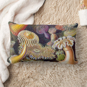 Havets anemonart lumbarkudde