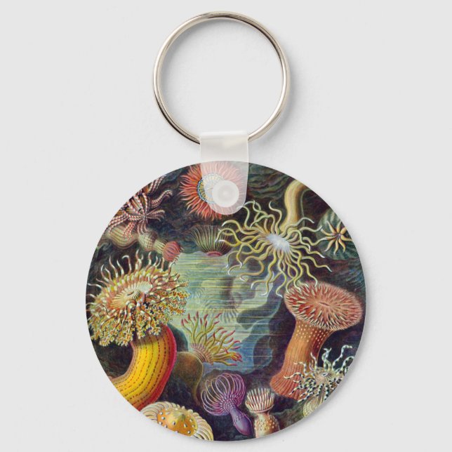 Havets anemonart nyckelring (Framsida)