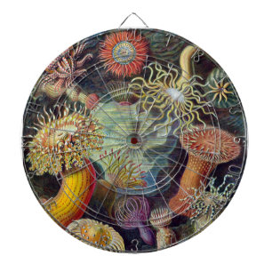 Havets anemonart piltavla
