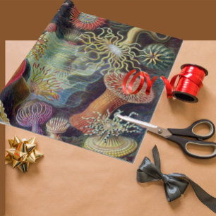 Havets anemonart presentpapper