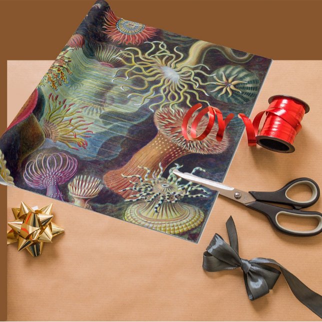 Havets anemonart presentpapper (Skapare uppladdad)