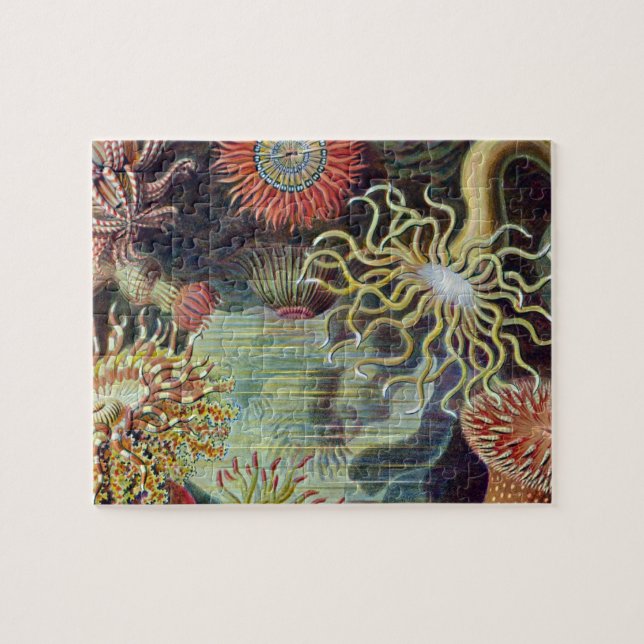 Havets anemonart pussel (Horisontell)