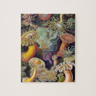 Havets anemonart pussel