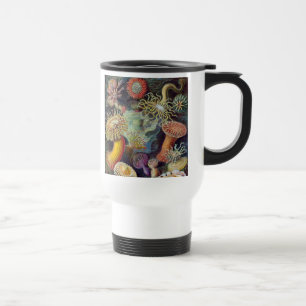 Havets anemonart resemugg