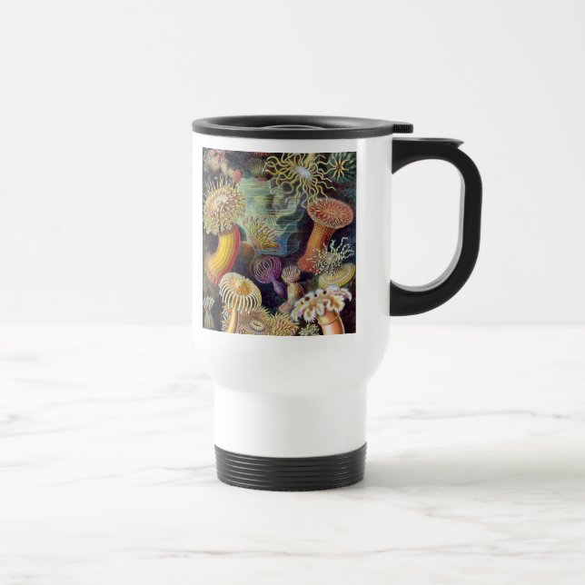 Havets anemonart resemugg (Höger)