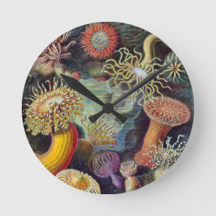 Havets anemonart rund klocka