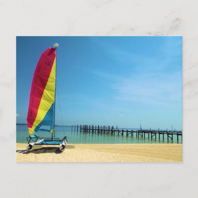 Havets katt - vykort för segling (Framsida)