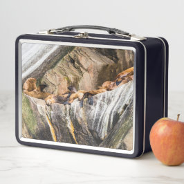 Havets Lejon på Sten