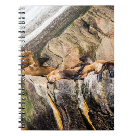 Havets Lejon på Sten Anteckningsbok