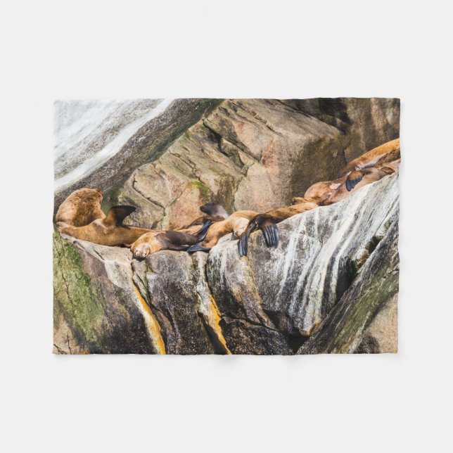 Havets Lejon på Sten Fleecefilt (Framsidan (Horisontell))