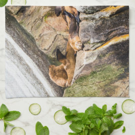 Havets Lejon på Sten Kökshandduk