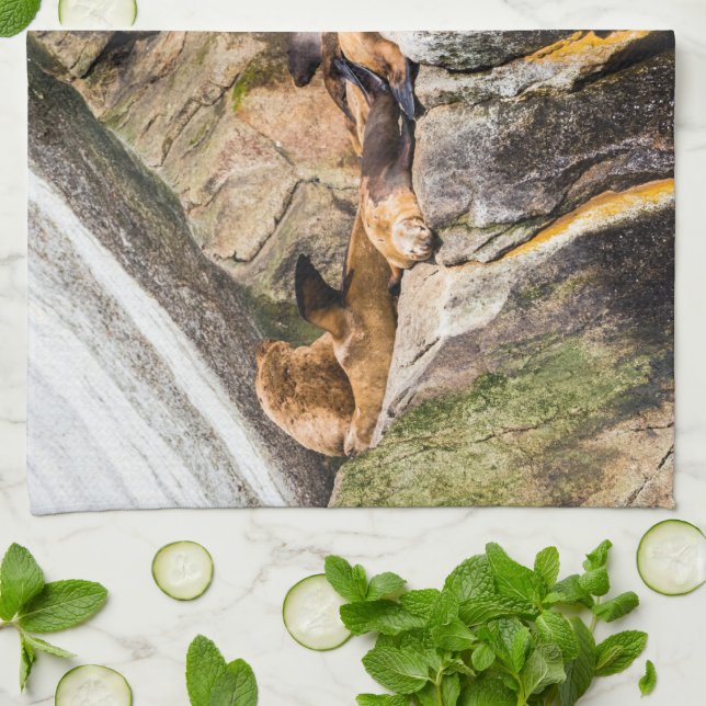 Havets Lejon på Sten Kökshandduk (Vikta)