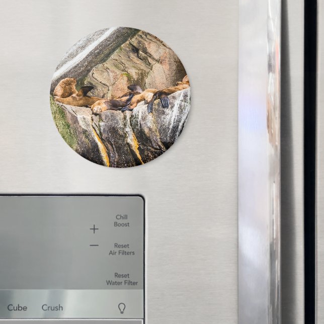 Havets Lejon på Sten Magnet (In Situ (Fridge))