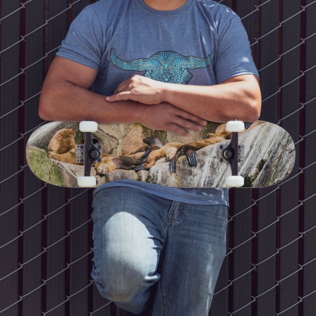 Havets Lejon på Sten Mini Skateboard Bräda 18,5 Cm (Utomhus 3)