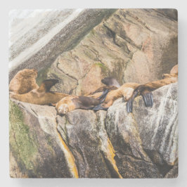 Havets Lejon på Sten Stenunderlägg