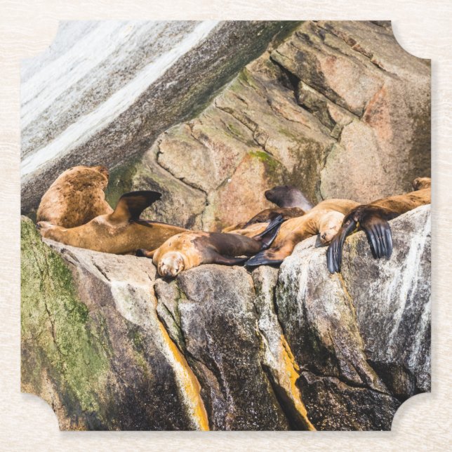 Havets Lejon på Sten Underlägg Papper (Framsida)