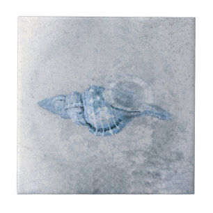 Havets Snäcka Blue Vintage Antique Ocean Beach St Kakelplatta