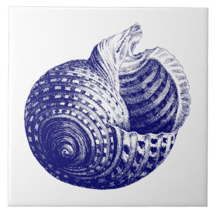 Havets snäcka Blue & White Kakelplatta