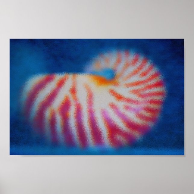 Havets Snäcka Poster (Framsidan)