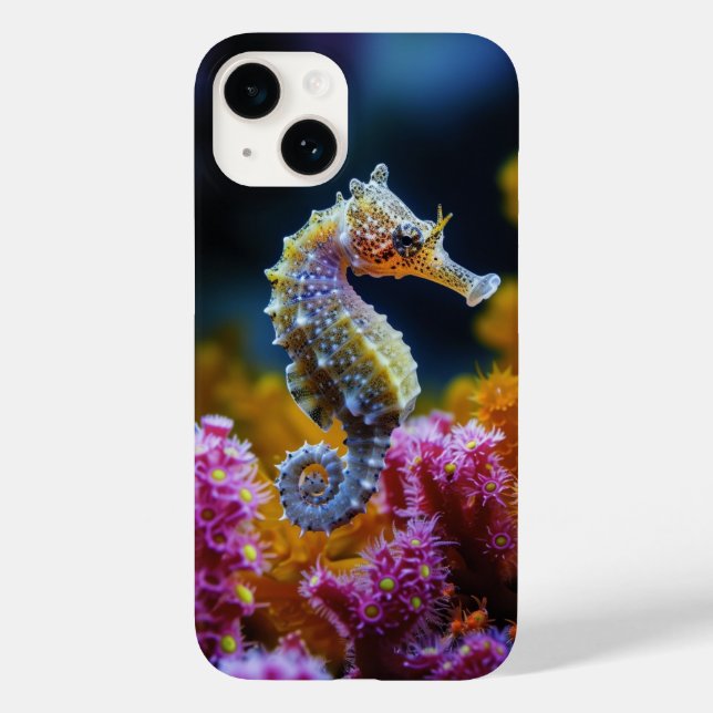 Havets underverk (Baksida)