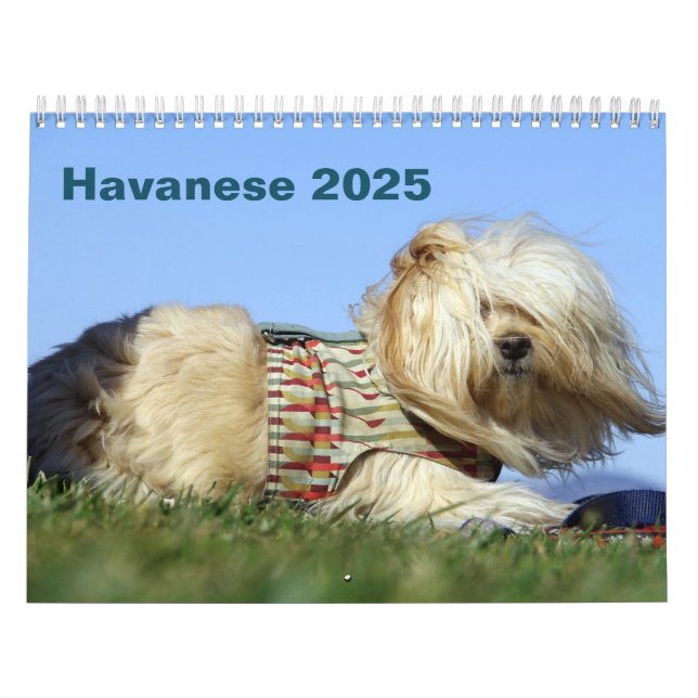Havets väggkalender 2025 kalender (Omslag)