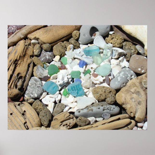 Havglasaffischer Strand Havsskal Fossil Strand Poster (Framsidan)