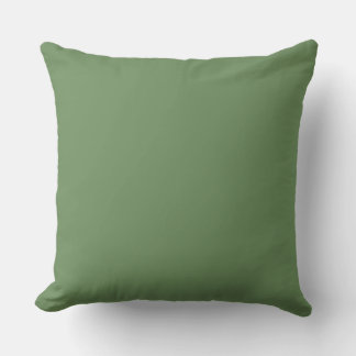 Havglasgrön enfärgad minimalistisk design kudde