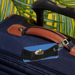 Havörn flyger nära förbi bagagebricka