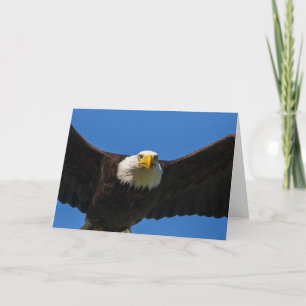 Havörn flyger nära förbi kort