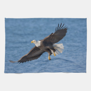 Havörn i flykt kökshandduk