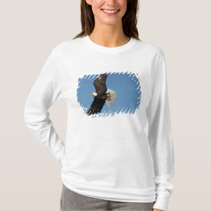 Havörn i flykt tee shirt