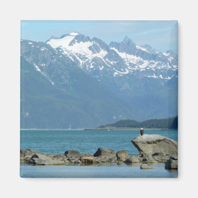 Havörn i Skagway Alaska Magnet (Framsidan)