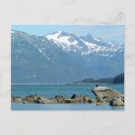 Havörn i Skagway Alaska Vykort