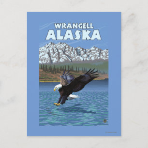 Havörn som dyker - Wrangell, Alaska Vykort