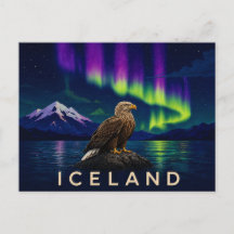 Havörn under Aurora | Ikonisk Islänning