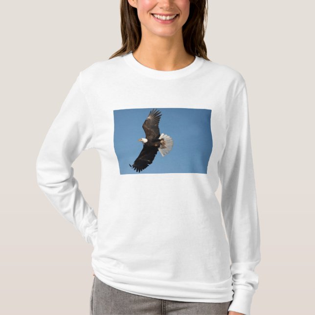 Havörn under flykt t shirt (Framsida)