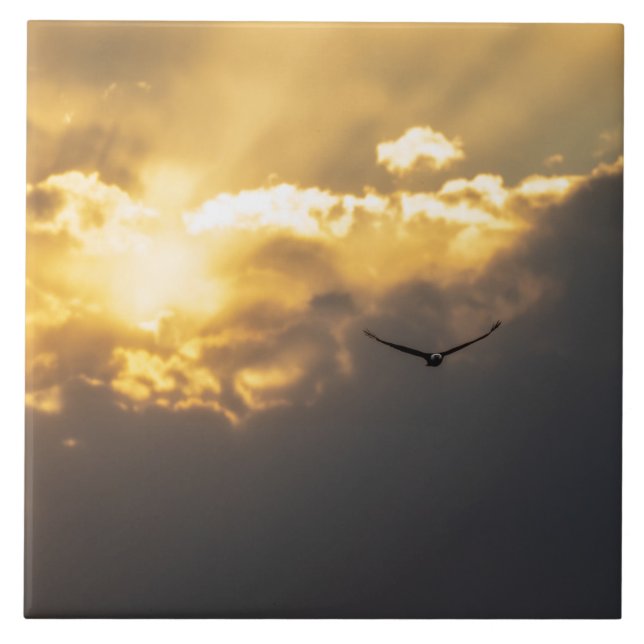 Havörn Utanför Solen Kakelplatta (Framsidan)