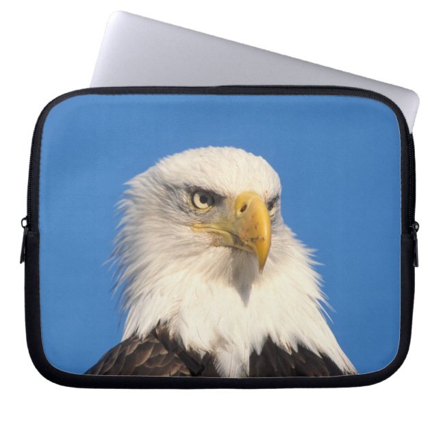 Havörnssyn Laptop Sleeve (Framsidan)
