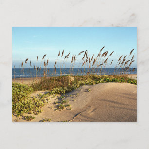 Havre & Dunes Vykort