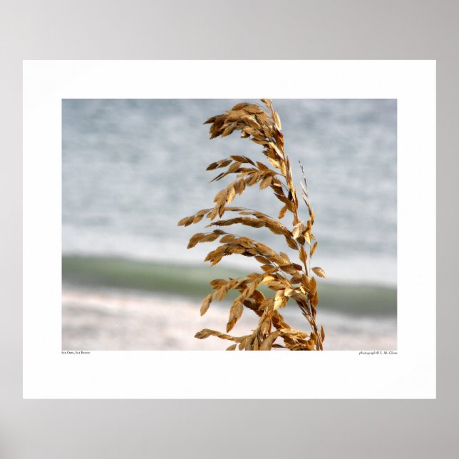 Havre, havskräfta poster (Framsidan)