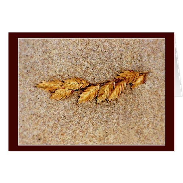 Havre och havre hälsningskort (Framsidan Horizontal)