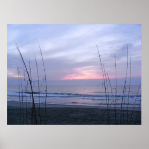 Havre och sunnus poster