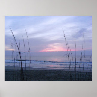 Havre och sunnus poster