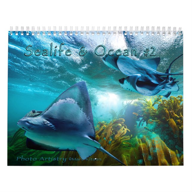 Havs- och oceanliv KONST #2 Kalender (Omslag)