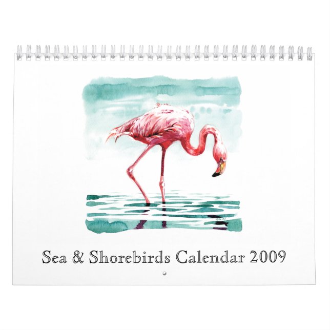 Havs- & Shorebirdskalender 2009 Kalender (Omslag)
